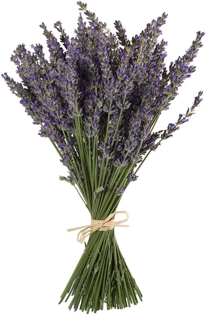 John’s Farm Dried Lavender Bundle