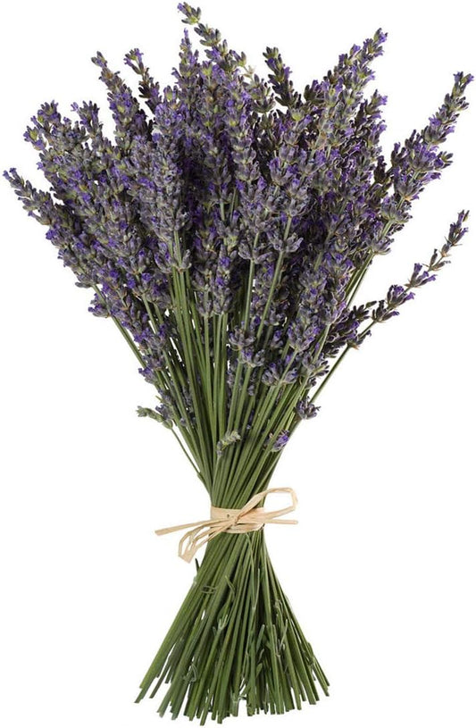 John’s Farm Dried Lavender Bundle